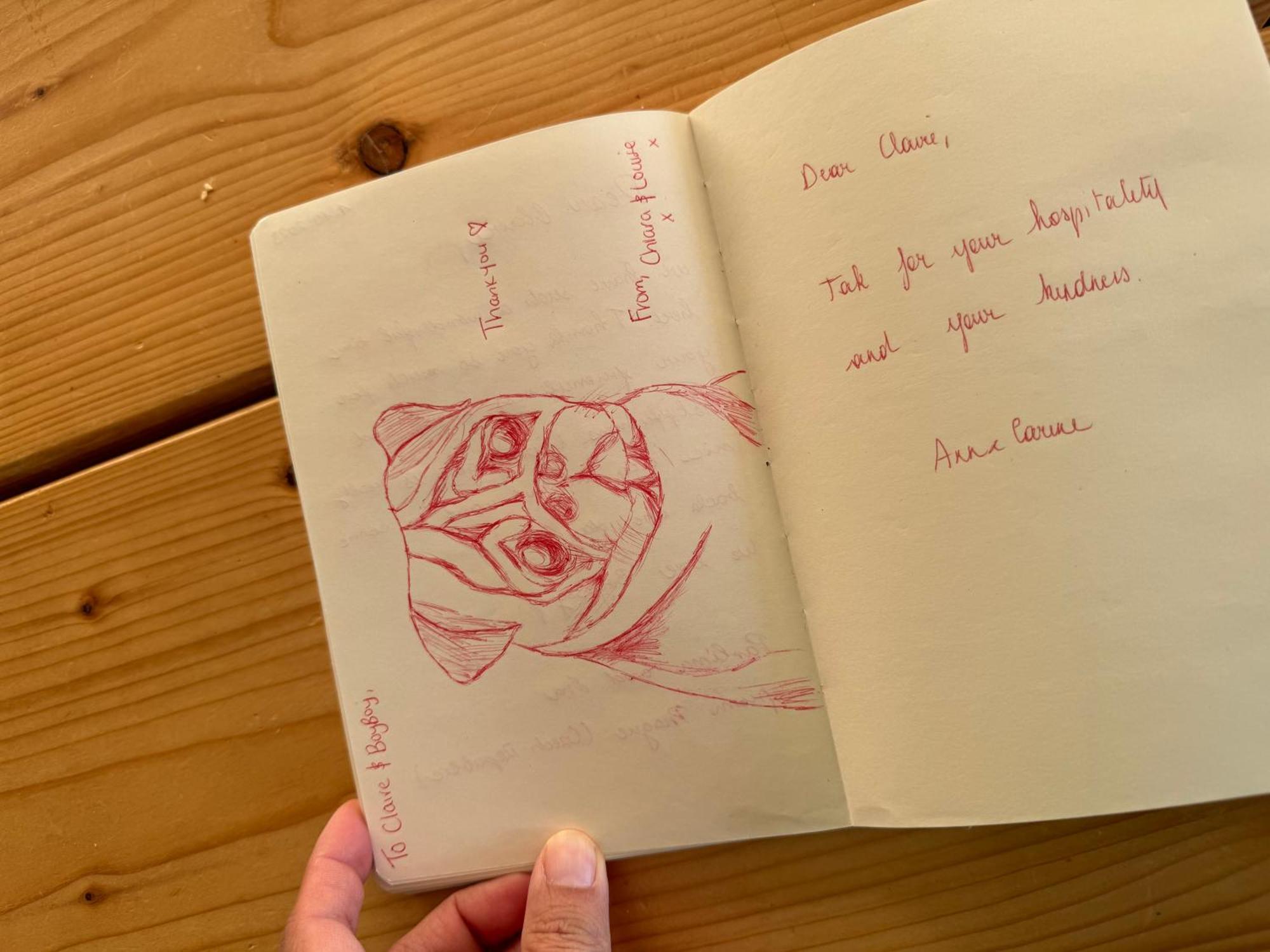 Cute Pug Guest Room København Ngoại thất bức ảnh