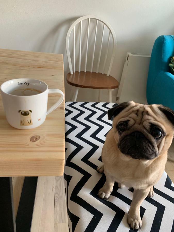 Cute Pug Guest Room København Ngoại thất bức ảnh