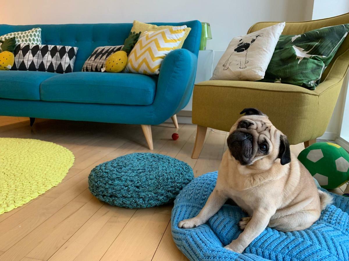 Cute Pug Guest Room København Ngoại thất bức ảnh